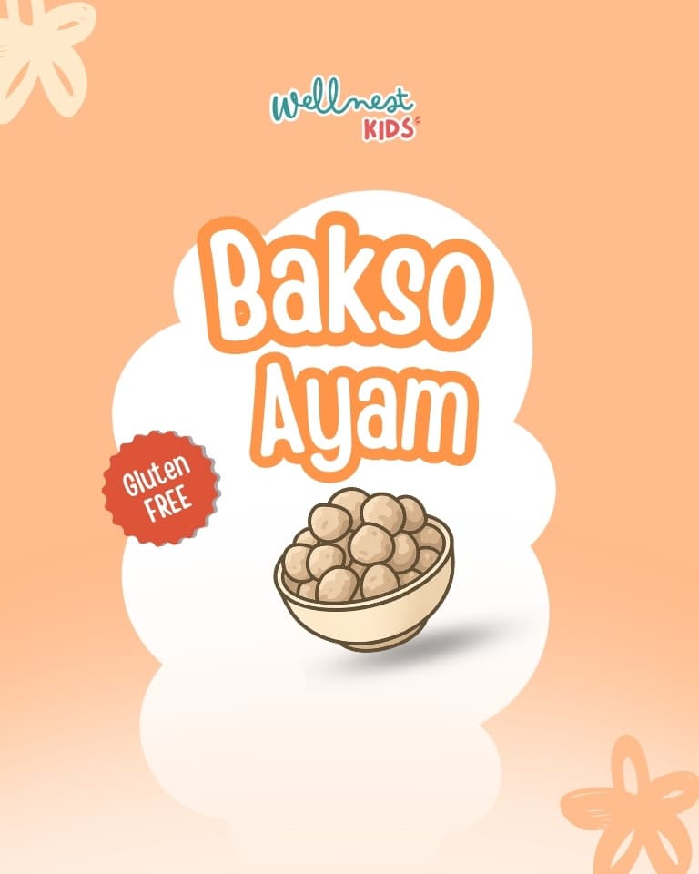 Bakso Ayam homemade WellnestKids
